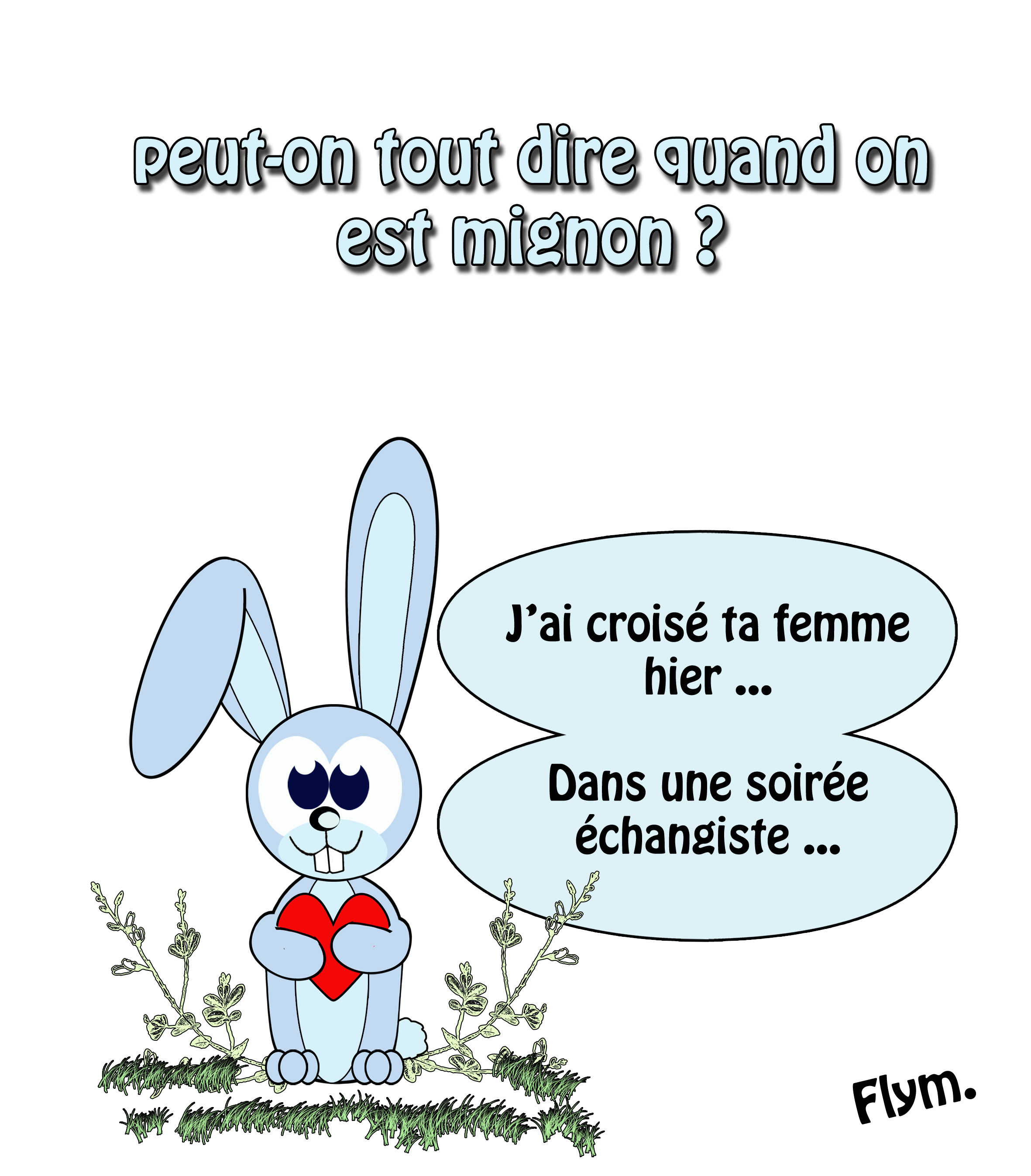 Dissertation Droit Constitutionnel