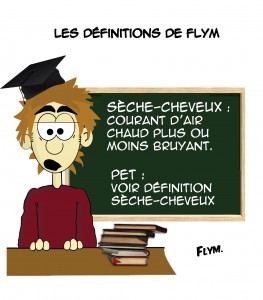 définition humour sèche cheveux pet