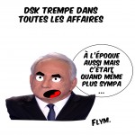 dsk-humour