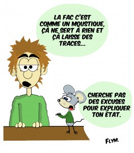 citation humour fac moustique