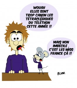 dessin humour miss France
