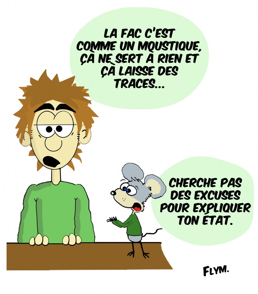 What a fac Flym, dessin d'humour, blog bd humour